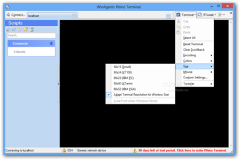 WinAgents Rhino Terminal screenshot 2