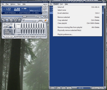 Winamp 5 Full screenshot 6