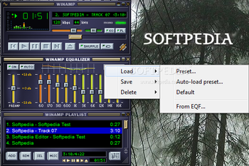 Winamp screenshot 2