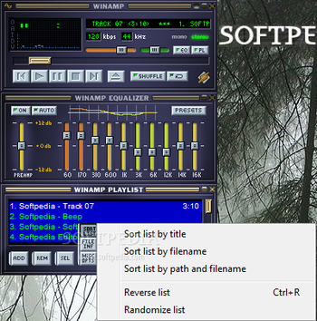 Winamp screenshot 3