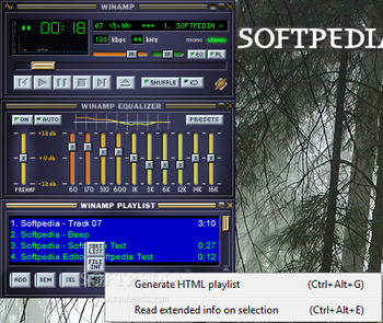 Winamp screenshot 5