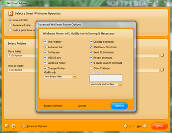 WinCleaner OneClick Professional Clean screenshot 11