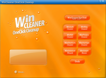 WinCleaner OneClick Professional Clean screenshot 2
