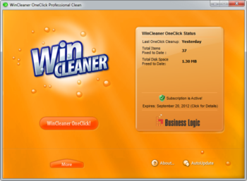 WinCleaner OneClick Professional Clean screenshot