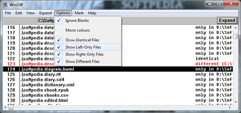WinDiff screenshot 6
