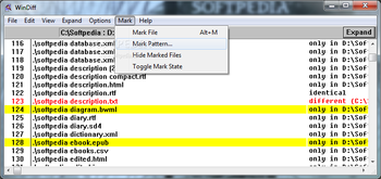WinDiff screenshot 7