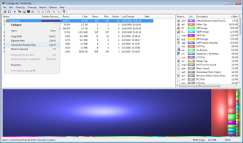 WinDirStat screenshot 2