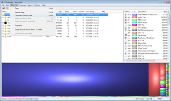 WinDirStat screenshot 3