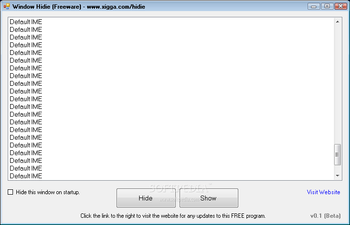 Window Hidie screenshot