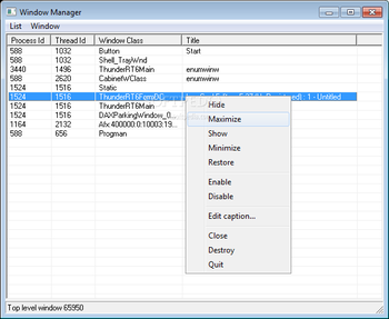 Window Manager screenshot