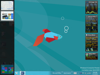 Windows 8 Consumer Preview screenshot 42