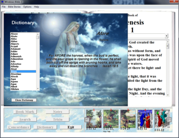 Windows Bible screenshot 5