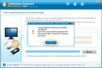 Windows Password Recovery Tool Professional screenshot