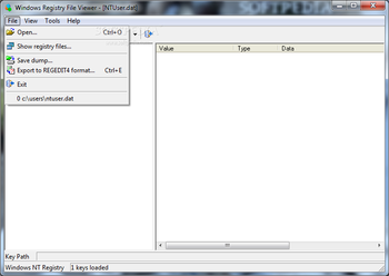 Windows Registry File Viewer (formerly Registry Viewer) screenshot 2