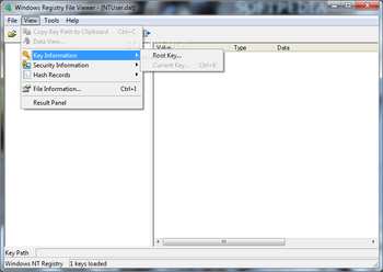 Windows Registry File Viewer (formerly Registry Viewer) screenshot 3