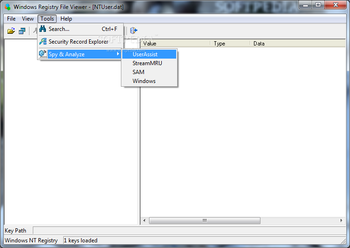 Windows Registry File Viewer (formerly Registry Viewer) screenshot 4