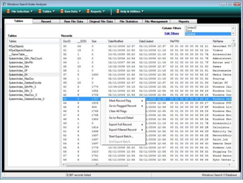 Windows Search Index Analyzer screenshot 2