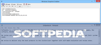 Windows Snapshot Grabber screenshot 2