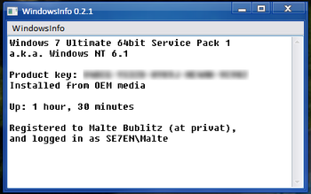 WindowsInfo  screenshot
