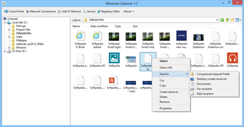 Windowz Explorer screenshot