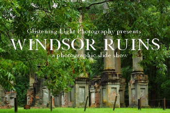 Windsor Ruins of Mississippi Screen Saver screenshot