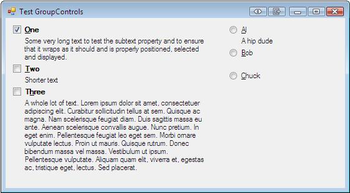 WinForms Group Controls screenshot