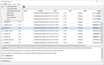 Wing File Search screenshot 3