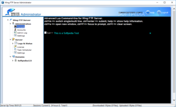 Wing FTP Server screenshot 3