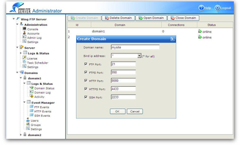 Wing FTP Server screenshot 2