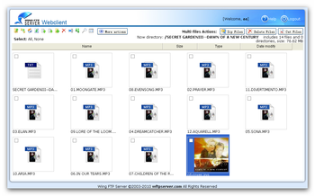 Wing FTP Server screenshot 8