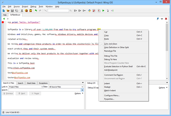 Wing IDE Personal screenshot