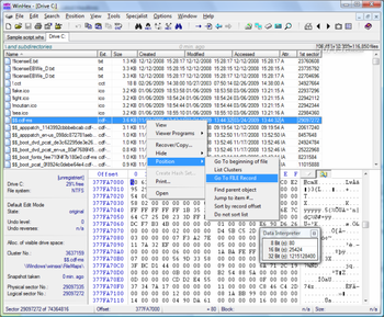 WinHex screenshot 6
