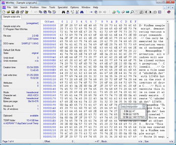 WinHex screenshot 7