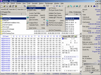 WinHex screenshot 8