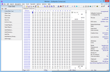 WinHex screenshot 23