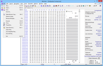WinHex screenshot 3
