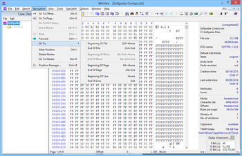 WinHex screenshot 5