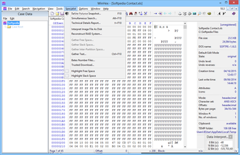 WinHex screenshot 7