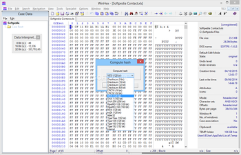 WinHex screenshot 9