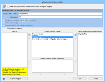 WinHide.SB screenshot 2