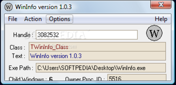 WinInfo screenshot