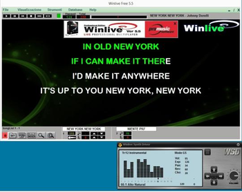 Winlive Synth Driver screenshot 2