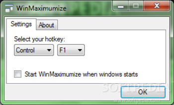 WinMaximumize screenshot