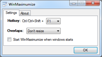 WinMaximumize screenshot