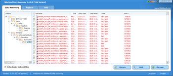 WinMend Data Recovery screenshot 2