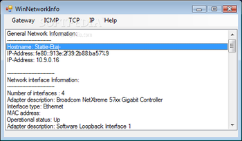 WinNetworkInfo screenshot
