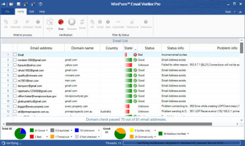 WinPure Email Verifier Pro screenshot 4