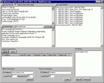 Winsock Tester screenshot