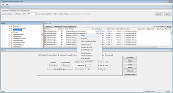 Winsome File Renamer screenshot 2