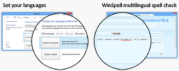 WinSpell for IE screenshot